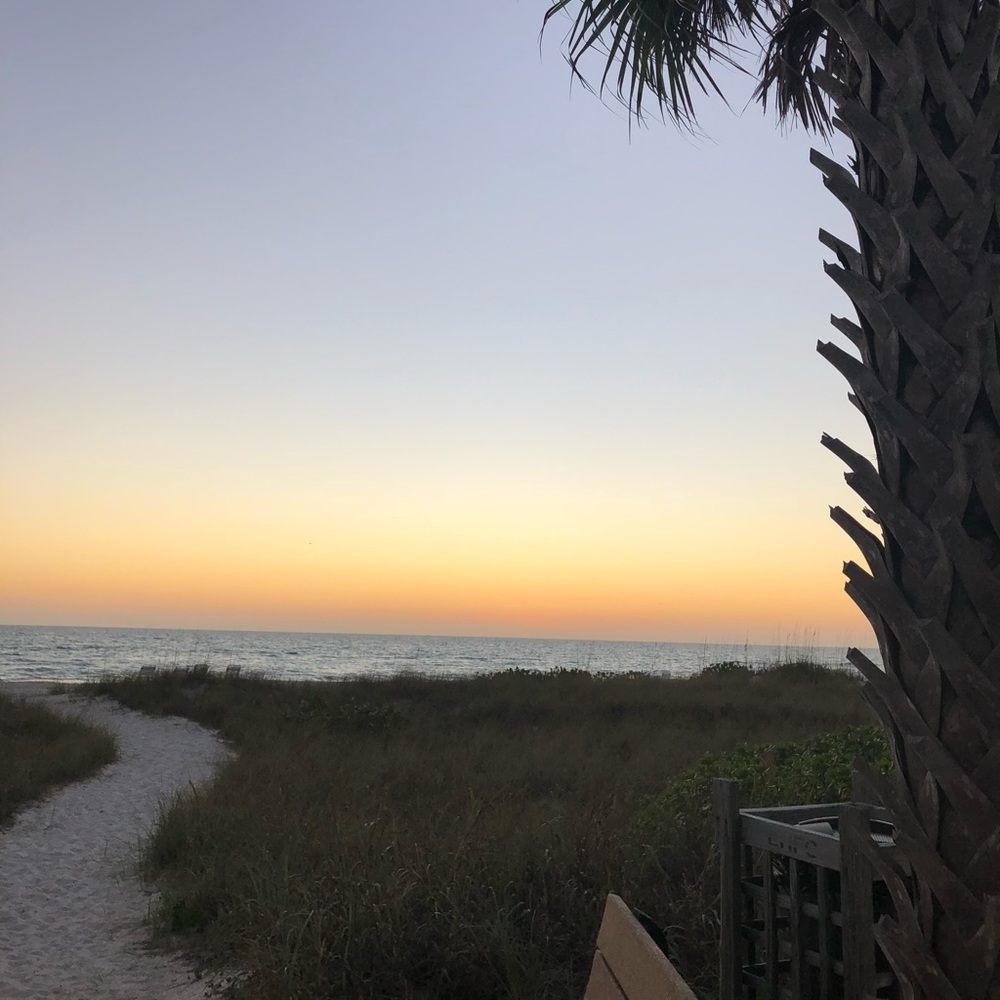 Meet your Posher, Blaisedel